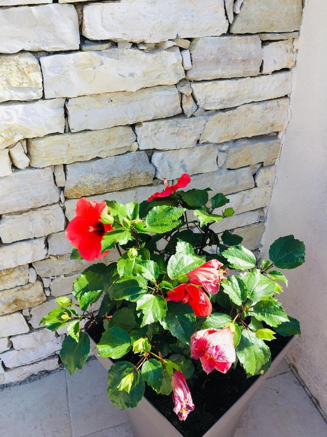 La Villa Mediterranee Wellness Spa Piscine Saint-Drezery 외부 사진