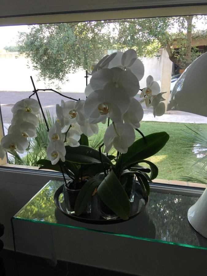 La Villa Mediterranee Wellness Spa Piscine Saint-Drezery 외부 사진